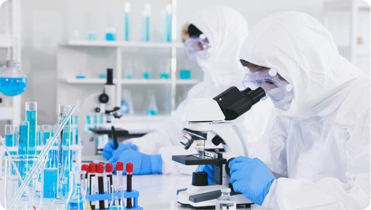 Marijuana Production